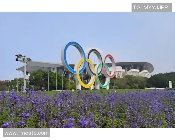 南京网球队耐力对比深度解析与训练策略探讨